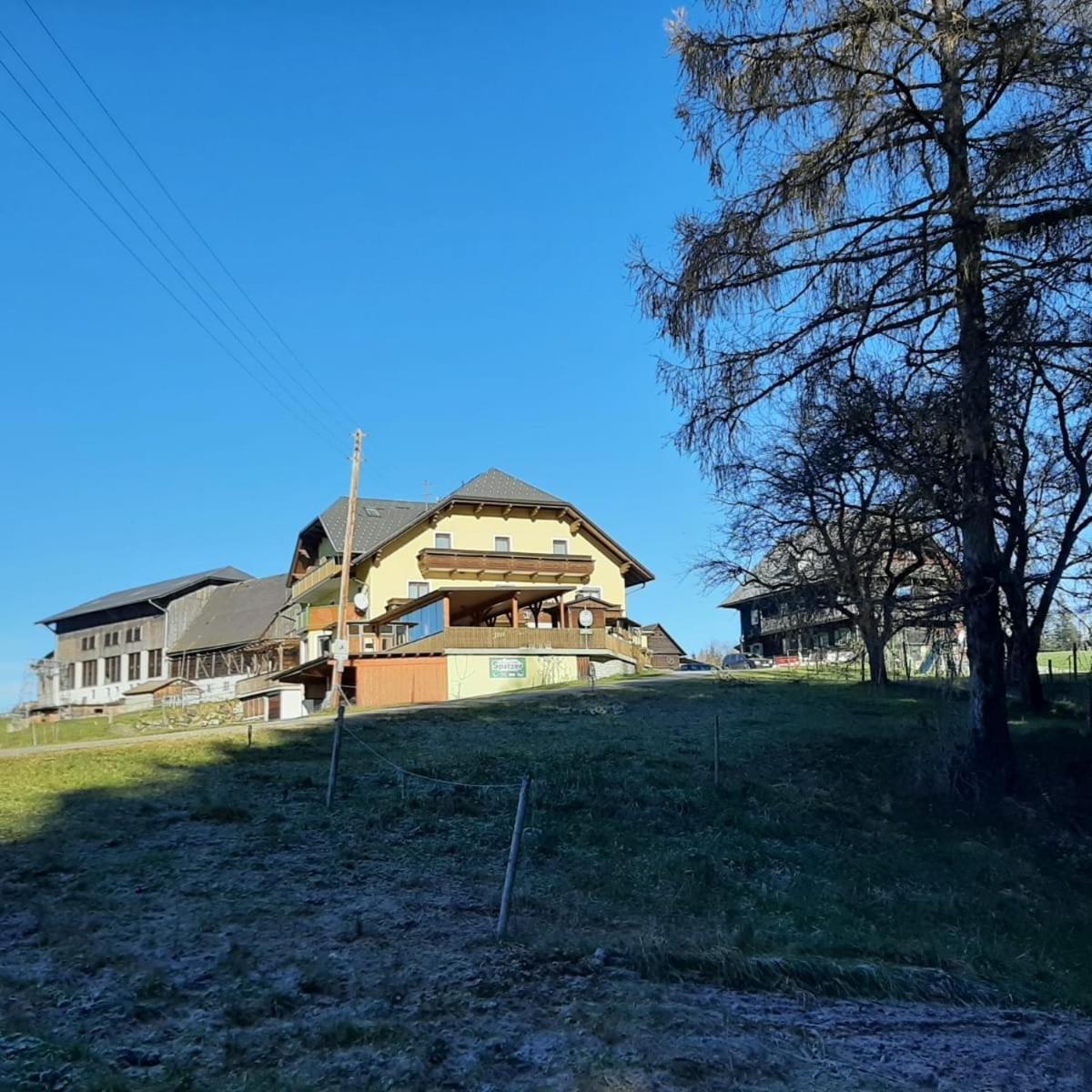 Almgasthof Spitzer Sankt Stefan ob Leoben Экстерьер фото